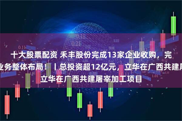 十大股票配资 禾丰股份完成13家企业收购，完善白羽肉鸡业务整体布局！丨总投资超12亿元，立华在广西共建屠宰加工项目